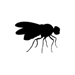 fly silhouette