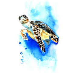 big sea turtle in watercolor