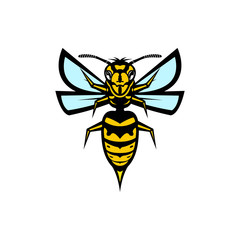 wasp  icon