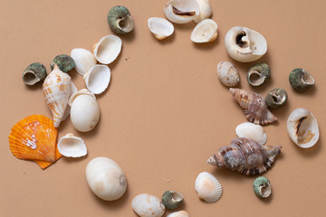 Obraz premium Different seashells on a ochre color background , the concept of holidays by the sea.