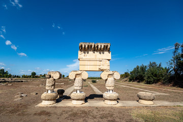 the remains of The Temple of Apollo in Metapontum (Metapontion) Magna Graecia. Archaeological Park...