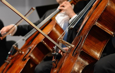 Symphony orchestra on stage, hands playing cello. Professional cello player's hands close up, he is performing with string section of the symphony orchestra