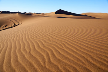 Sand dunes in the Sahara Desert, Morocco