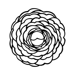 BLOOMING CAMELLIA IN THE VECTOR