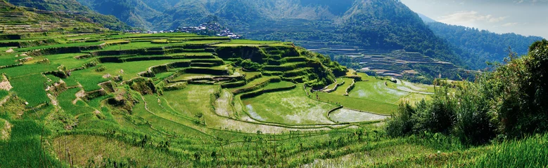 Fototapete Reisfelder Reisfeldterrassen in der Gegend von Banaue, auf den Philippinen