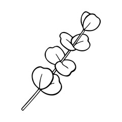 EUCALYPTUS IN THE VECTOR