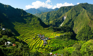 Terrasses de rizières à batad, aux Philippines