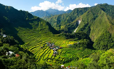 Abwaschbare Fototapete Reisfelder Reisfeld-Terrassen bei Batad auf den Philippinen