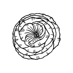 BLOOMING GENTIAN IN THE VECTOR