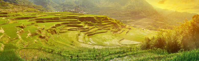 sunset in the rice field terraces in the area of banaue,in Philippines 