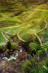 Fototapeta premium sunset in the rice field terraces in the area of banaue,in Philippines 