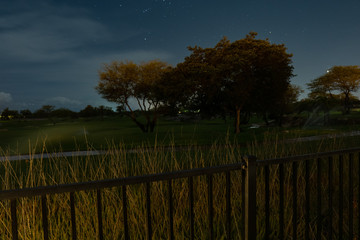 Obraz premium Starry Golf Course Night