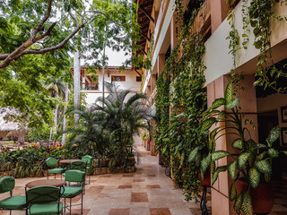 Fototapeta na wymiar Garten mit tropischen Pflanzen und Sitzmöglichkeiten 