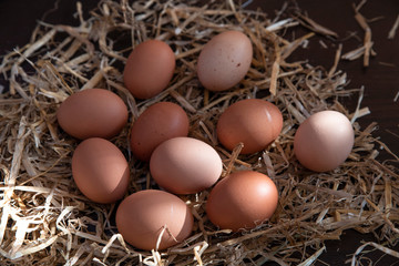 Close-up on eggs on straw
