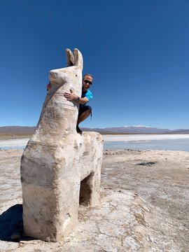 Homme sur une statue de Lama en sel en Amérique du Sud en Argentine devant le désert de sel et les salines