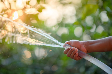 The little boy's hand is played with a hose in a sunny backyard. Preschoolers are fun with water...