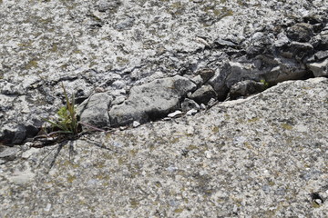 The surface and texture of the destroyed concrete slab.
