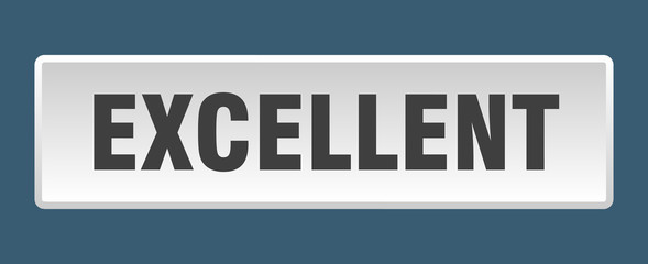 excellent button. excellent square white push button