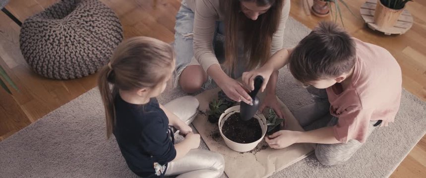 Mother Daughter And Son Enjoying Planting Houseplants Home Gardening Family Time During Coronavirus Covid 19 Pandemic Outbreak Wellbeing Staying Home In Isolation