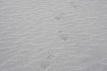 Fototapeta na wymiar Abstract Nature Scene of walking footprint on white Sand dune texture background at Hunder Sand dune Nubra Valley , Leh Ladakh , jammu and kashmir - India