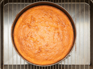 Bizcocho casero de limón y yogur en horno eléctrico vista cenital primer plano