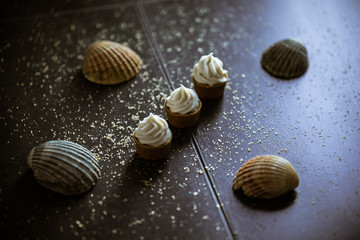 snail shells