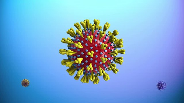 Three different coronavirus molecules rotate