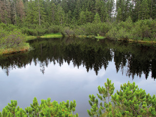 Fototapeta na wymiar Three Lake Moor (Trijezerni slat). Sumava National Park. Czech Republic