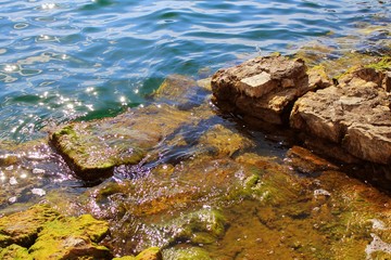 rocks in the water