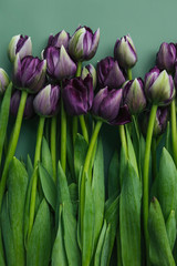 Spring flowers in bouquet composition
