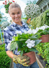 Lovely happy young woman gardener choosing flower pot with anthuriums in garden center