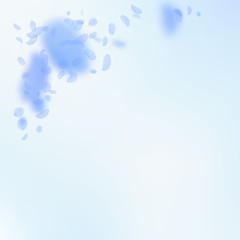 Dark blue flower petals falling down. Emotional ro