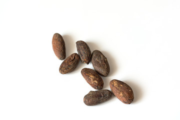 cocoa beans on a white background isolated