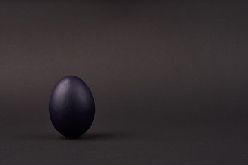 Colored blue easter egg on bright black background