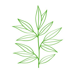 Branch with leaves hand drawn with green contour lines on white background