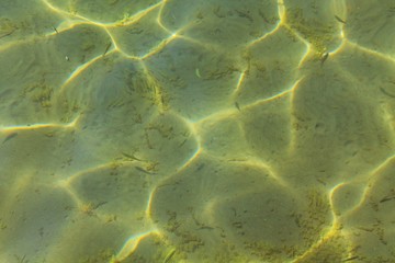 shallow water