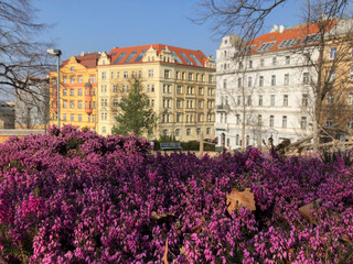 Fototapeta na wymiar Riegrovy Sady Park in Prague
