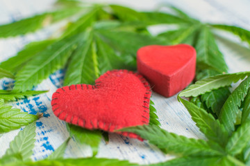 Love and marijuana. Red heart against the background of marijuana leaves.