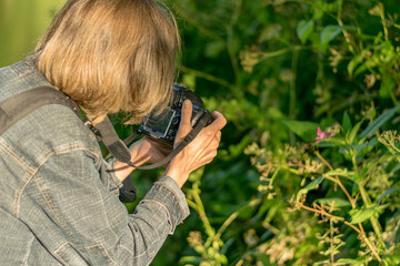 Photographing plants and flowers with a camera.