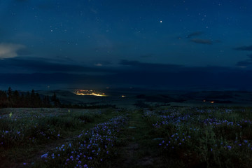 flowers road mountains stars lights night