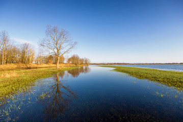 Wiosenne rozlewiska Narwi i Biebrzy. Podlasie. Polska