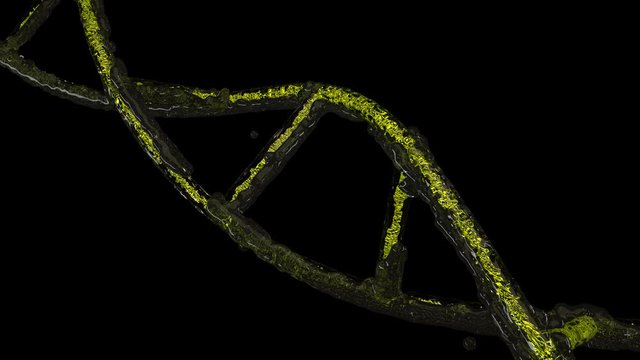 PNG Alpha.Abstract DNA with fluid and particles.Abstract animated DNA 3D generated.Good for medicine, treatment purpose.