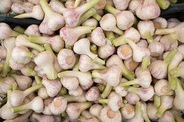 Garlic on a counter in a store