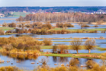 Wiosenne rozlewiska Narwi i Biebrzy. Podlasie. Polska