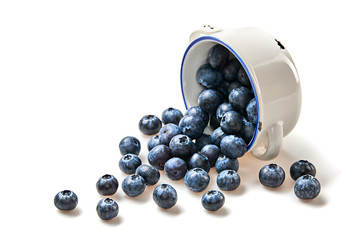 Blueberry in ceramic bowl isolated on white. Fresh blueberry closeup, healthy diet nutrition concept. Ripe organic bilberry, vegan meal. Juicy blueberries background.