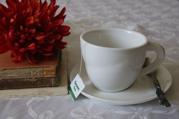 es sich zu Hause gem&uuml;tlich machen