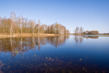 Wiosenne rozlewiska Narwi i Biebrzy. Podlasie. Polska