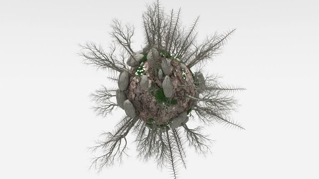A tiny abandoned planet continues to bloom spinning on a white background. Seamless loop.