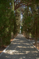 path in the park