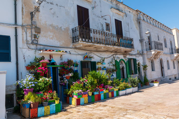 Flower shop in old white town Bari, Puglia, South Italy